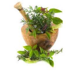 Herbs
